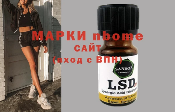 хмурый Аркадак