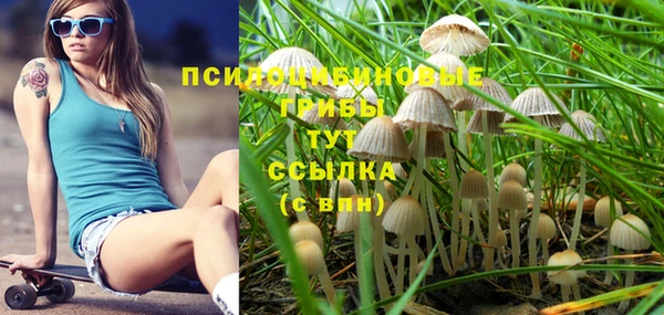 гашик Арсеньев