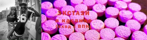 хмурый Аркадак