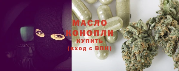 хмурый Аркадак