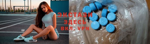 хмурый Аркадак
