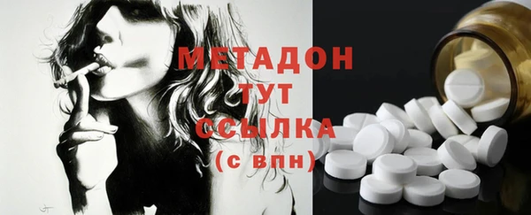 хмурый Аркадак
