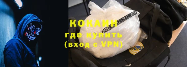 гашик Арсеньев