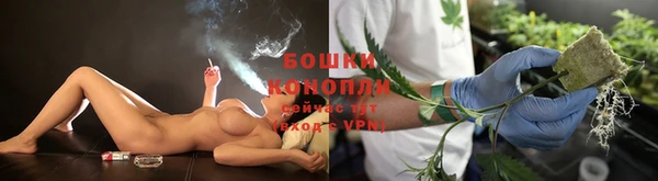 гашик Арсеньев