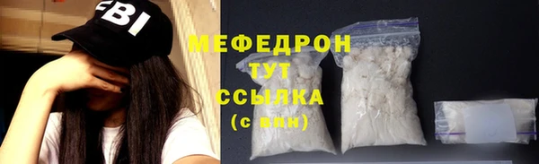 хмурый Аркадак