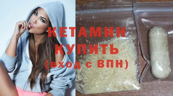 хмурый Аркадак
