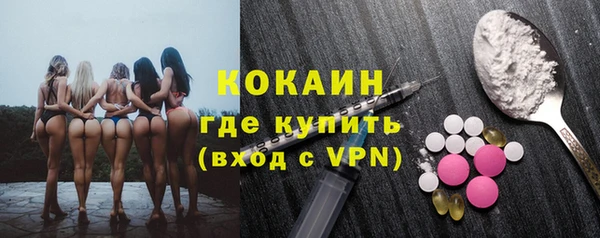 хмурый Аркадак