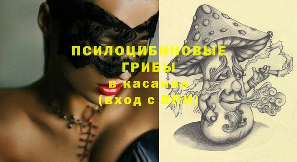 гашик Арсеньев