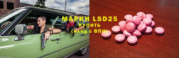 хмурый Аркадак