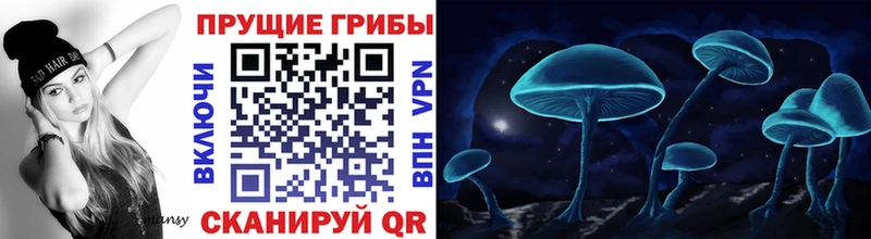 Псилоцибиновые грибы ЛСД  мориарти официальный сайт  Звенигово 